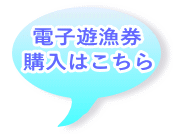 電子遊漁券 購入はこちら